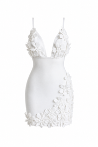 Lea mini dress