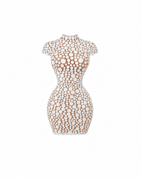Cirque Blanc Mini Dress
