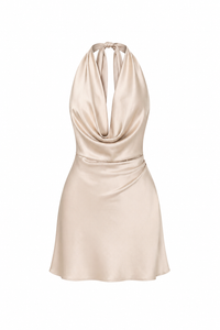 Midnight Blossom Mini Dress