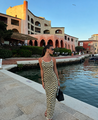 Siena Pattern Knit Dress