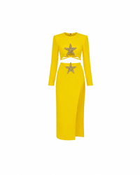 Yellow Stardust Skirt Set