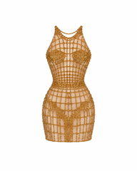 Gilt Complex Mini Dress