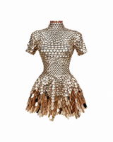 Miroir Sauvage Mini Dress