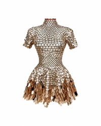 Miroir Sauvage Mini Dress